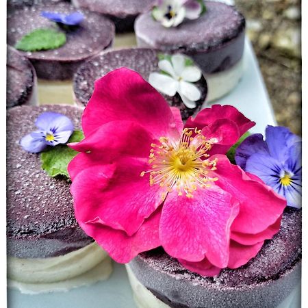 Oracines Du Calme Maison Helianthy Sanilhac  ภายนอก รูปภาพ