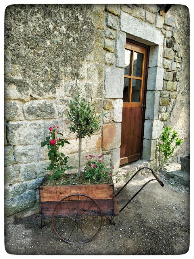 Oracines Du Calme Maison Helianthy Sanilhac  ภายนอก รูปภาพ